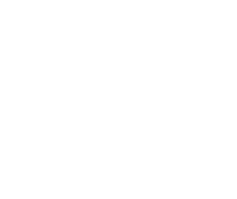 Sparkle Logo
